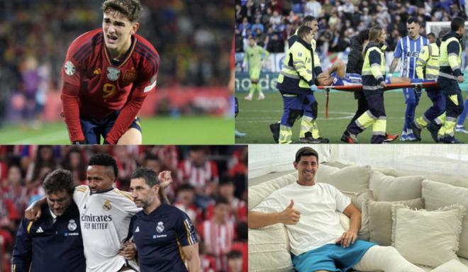 翱翔的鹰 翱翔的鹰